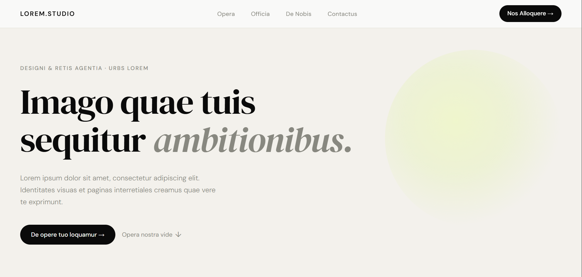 Agency Website preview